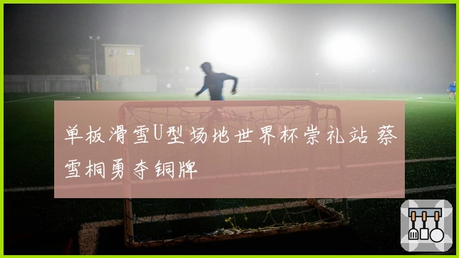 单板滑雪U型场地世界杯崇礼站 蔡雪桐勇夺铜牌