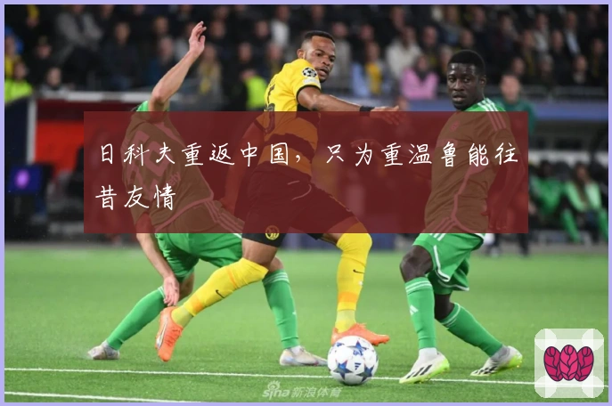 日科夫重返中国，只为重温鲁能往昔友情