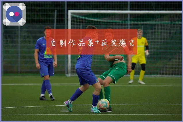 自制作品集+获奖感言