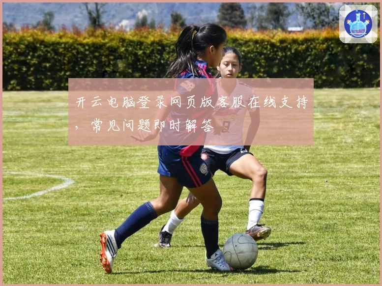 开云电脑登录网页版客服在线支持，常见问题即时解答