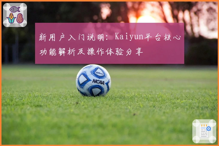 新用户入门说明：Kaiyun平台核心功能解析及操作体验分享